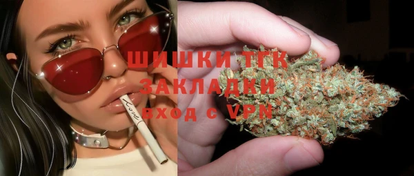гашик Богородицк