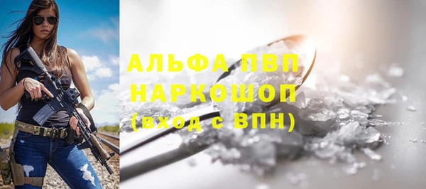 прущие грибы Богданович
